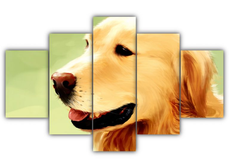 Handsome Retriever Multi Canvas Art