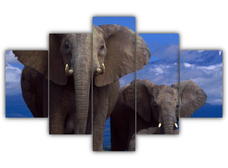 Elephant Family Multi Canvas Art