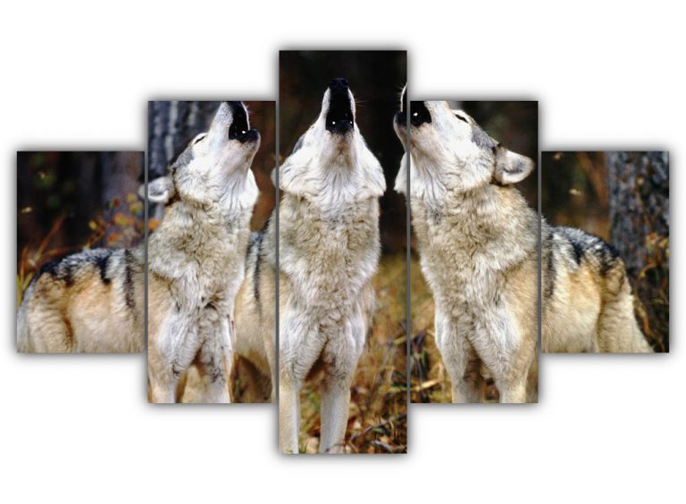 Howling Wolves Multi Canvas Art