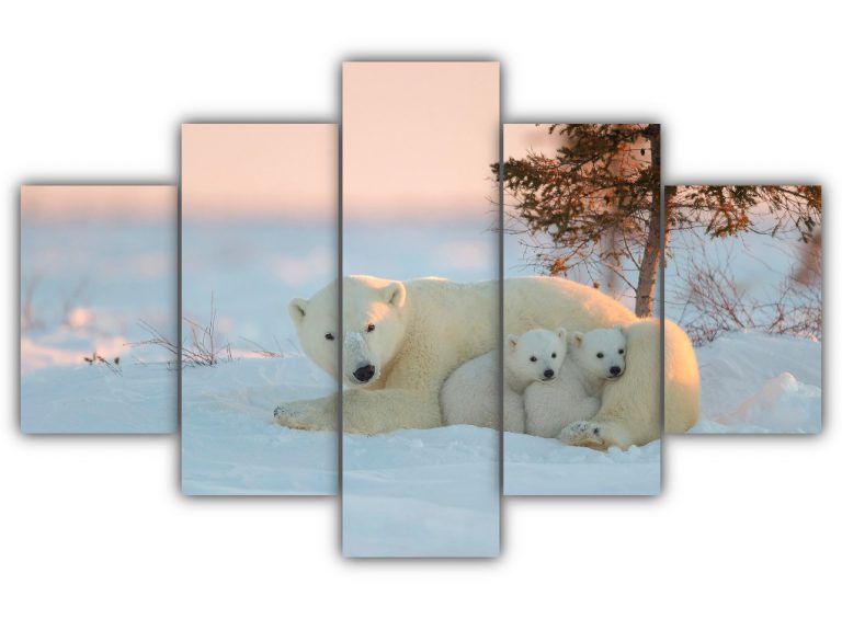 Polar Bear Family Multi Canvas Art
